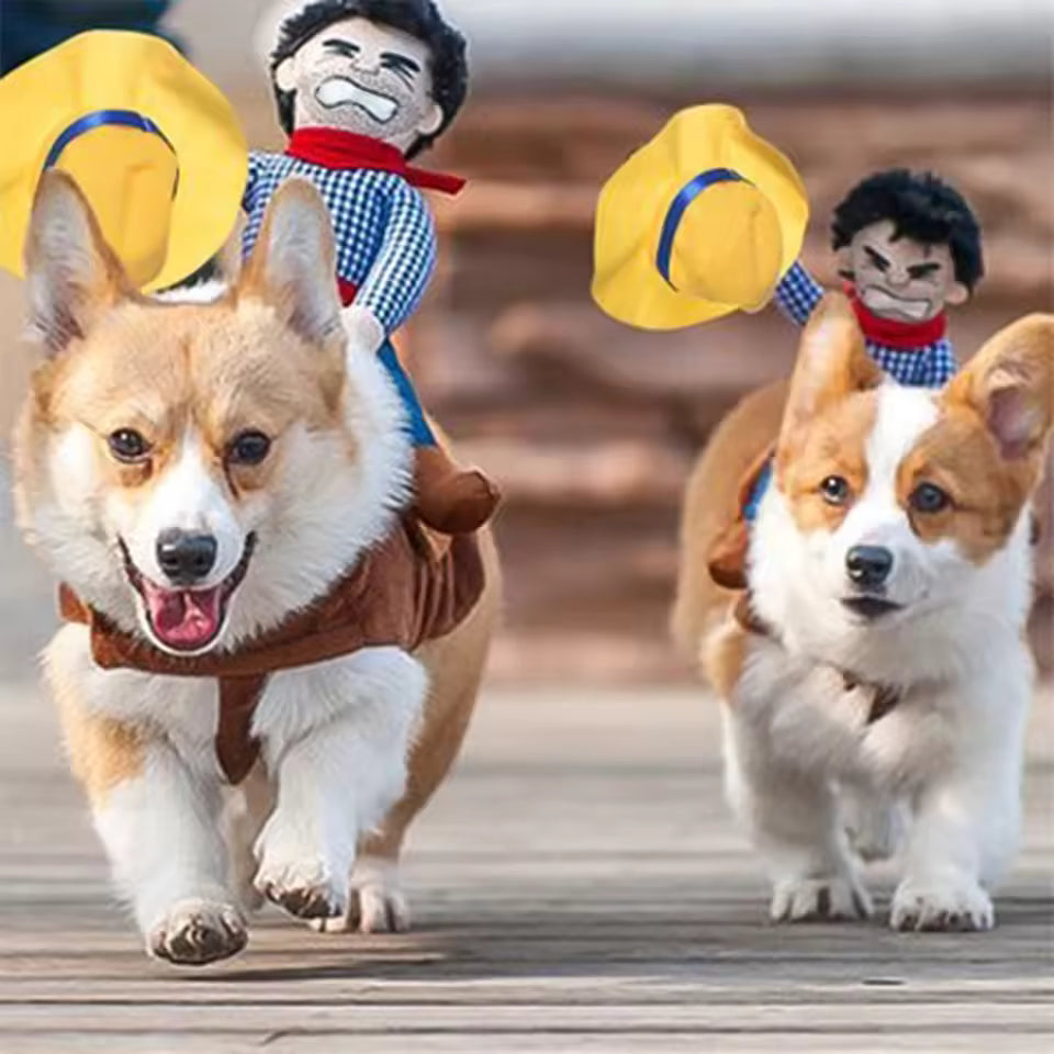 Pet Clothes Funny Cowboy Dressing Up