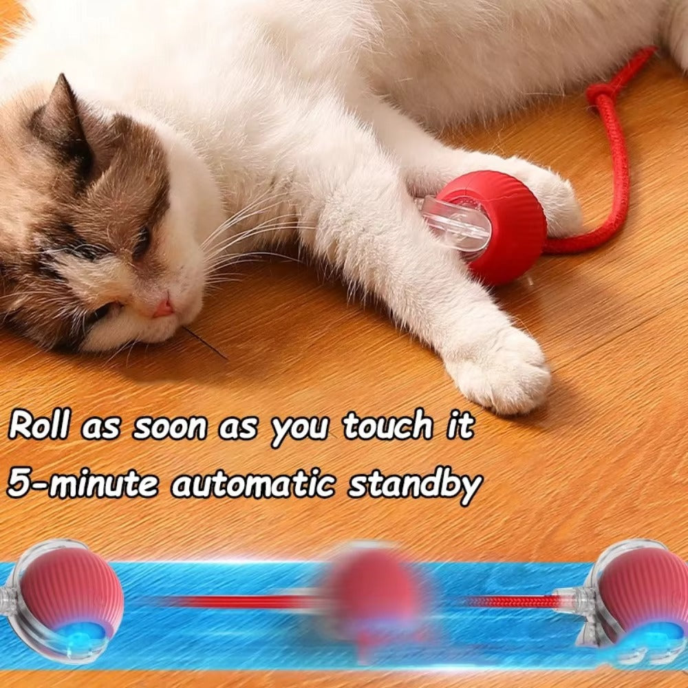 Pet Interactive Ball Toy Automatic Rolling Ball Faux Tail Rechargeable Smart