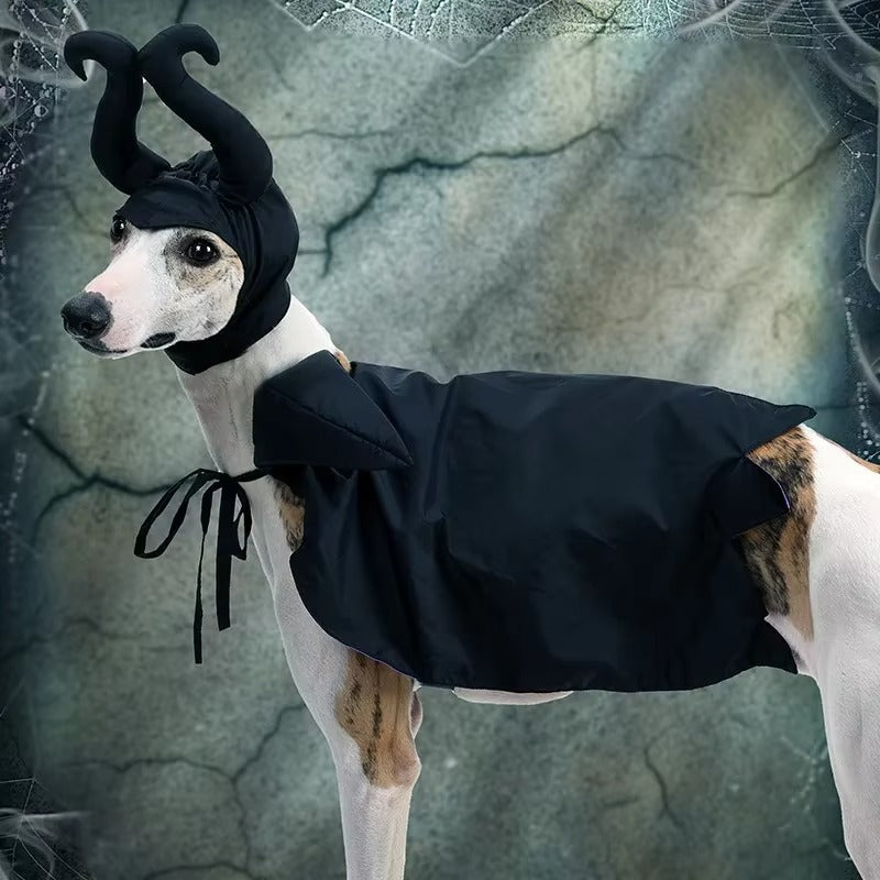 Halloween Dracula Pet Hooded Cloak