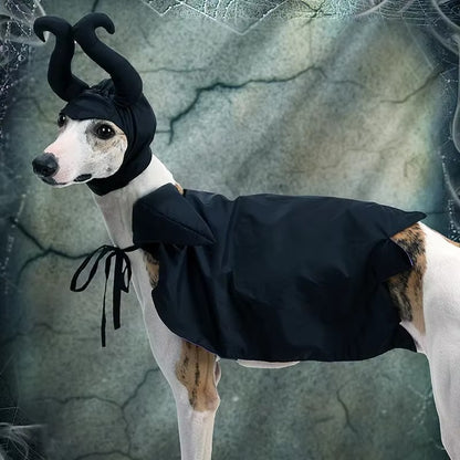 Halloween Dracula Pet Hooded Cloak