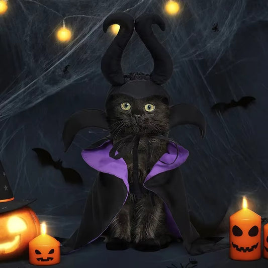 Halloween Dracula Pet Hooded Cloak