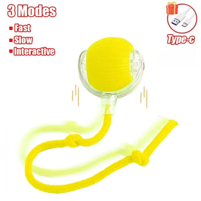 Pet Interactive Ball Toy Automatic Rolling Ball Faux Tail Rechargeable Smart